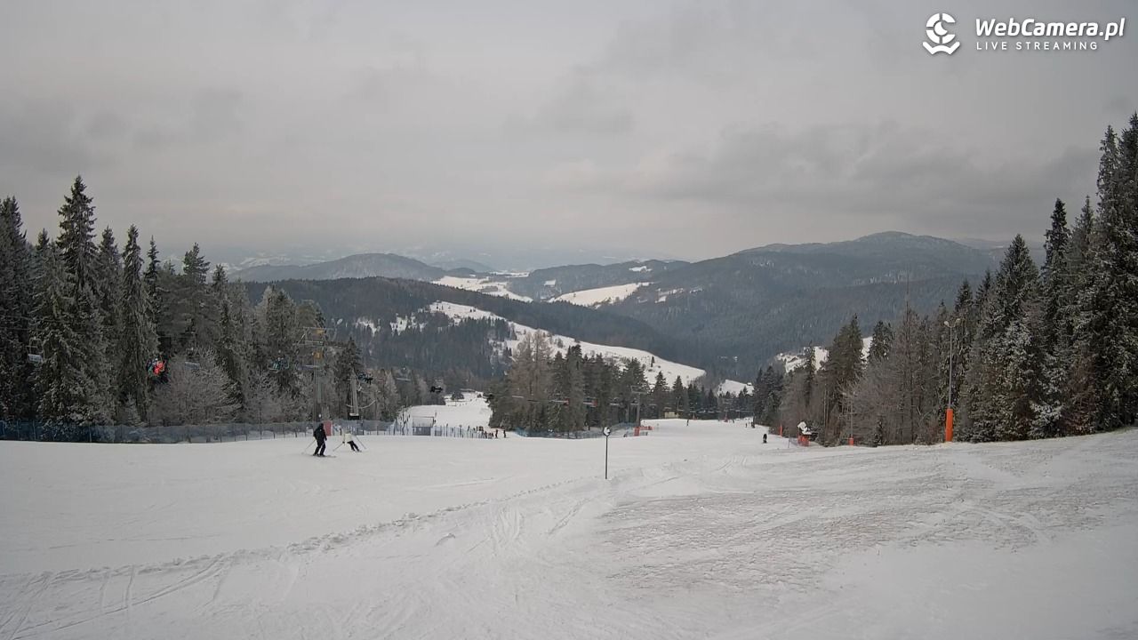Wierchomla - widok na trasy - 16 luty 2026, 11:48