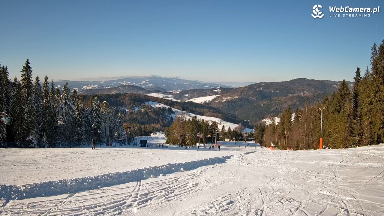 Wierchomla - widok na trasy - 17 styczeń 2026, 11:48