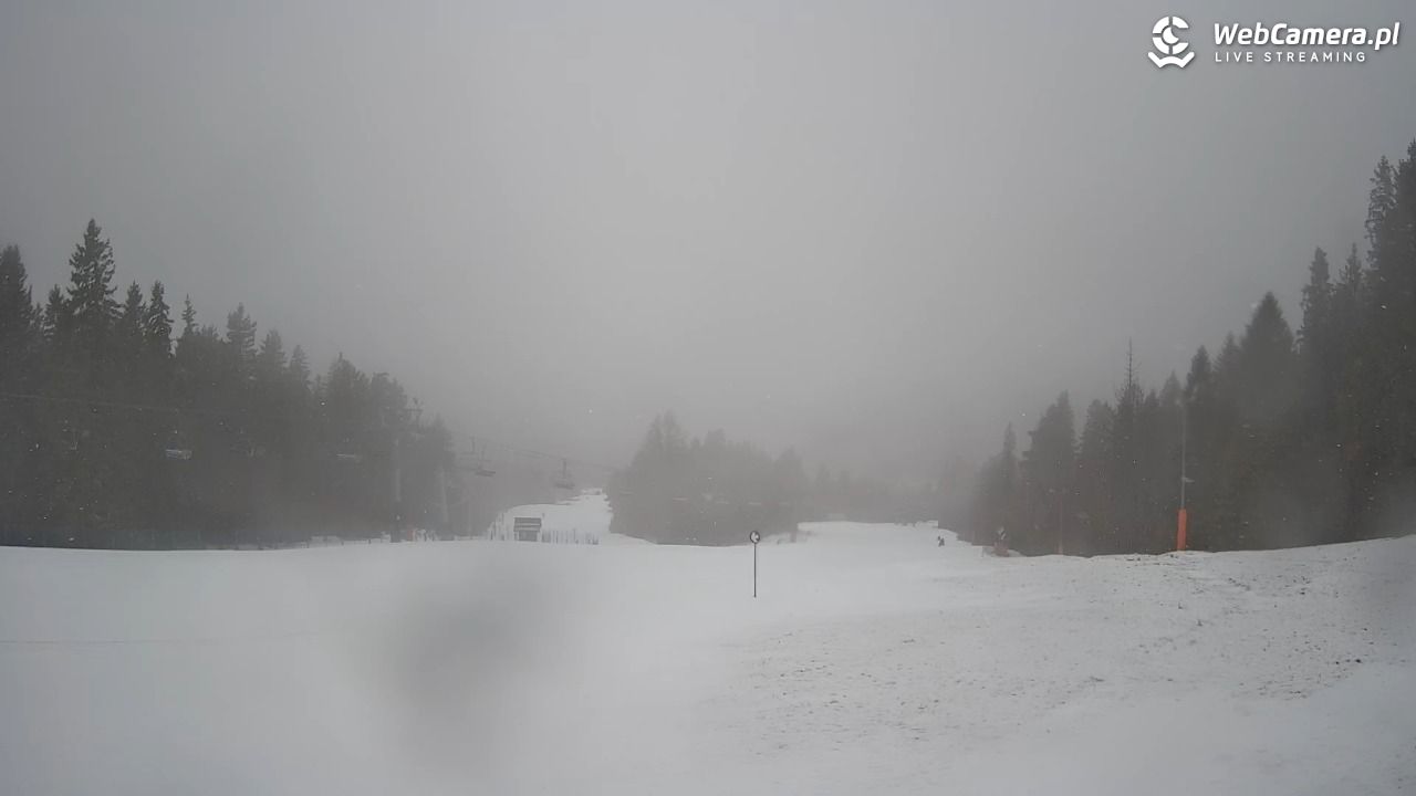 Wierchomla - widok na trasy - 24 luty 2026, 08:20