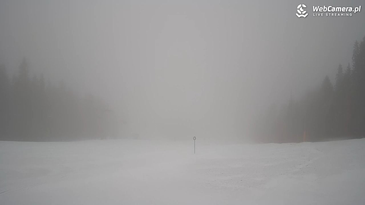 Wierchomla - widok na trasy - 24 luty 2026, 10:30