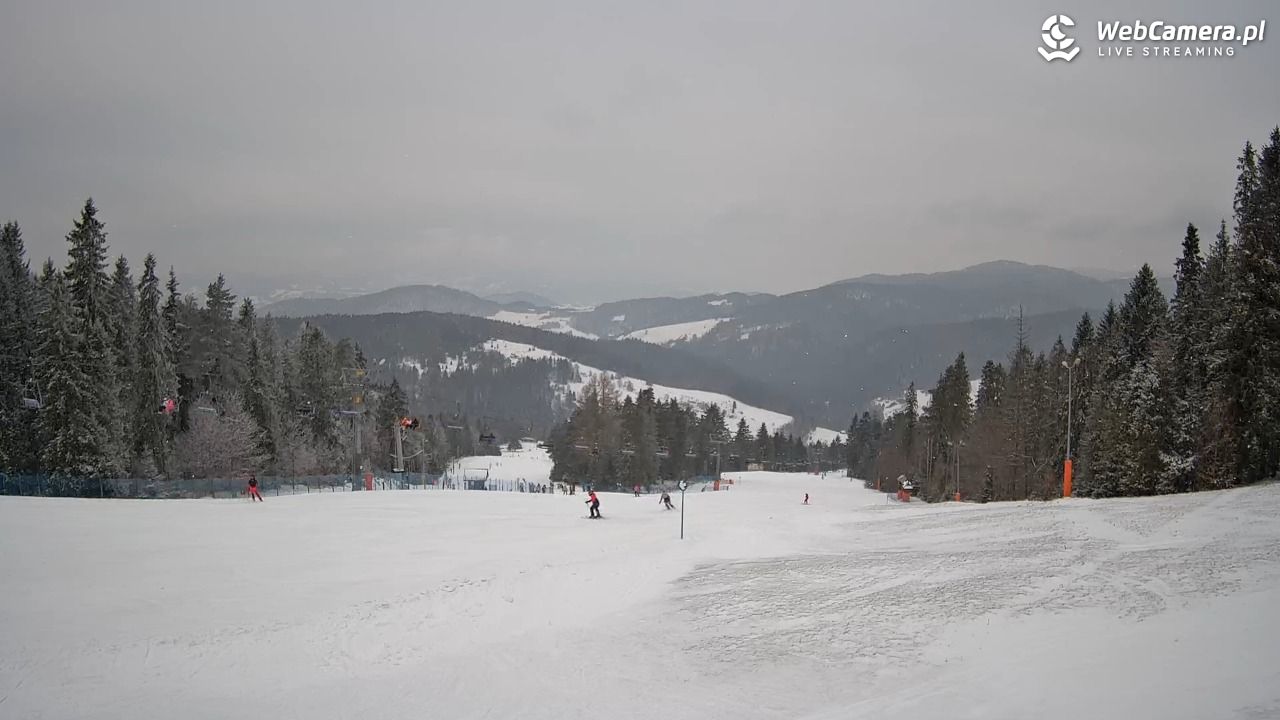 Wierchomla - widok na trasy - 16 luty 2026, 14:57