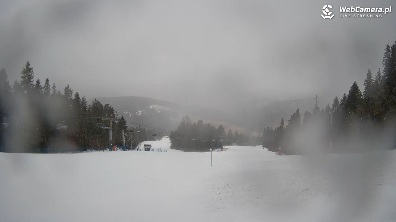 Wierchomla - widok na trasy - 24 luty 2026, 08:16