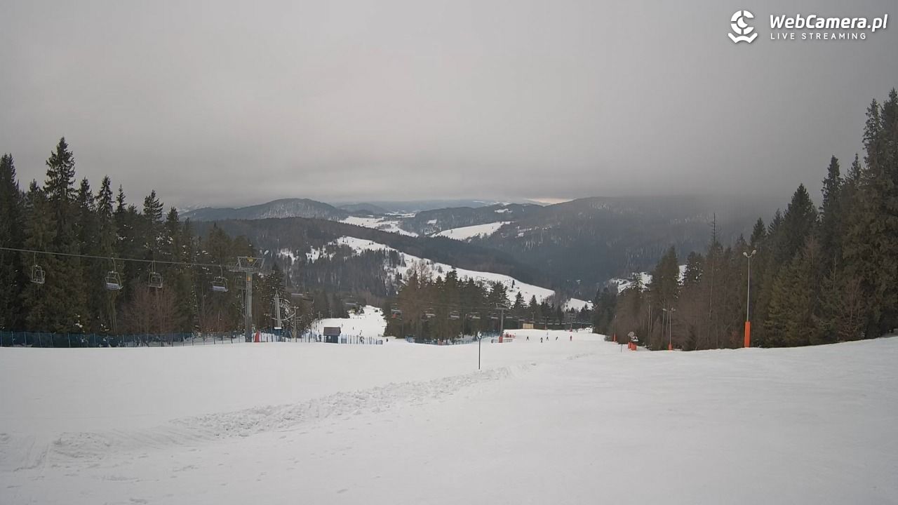 Wierchomla - widok na trasy - 24 styczeń 2026, 09:38