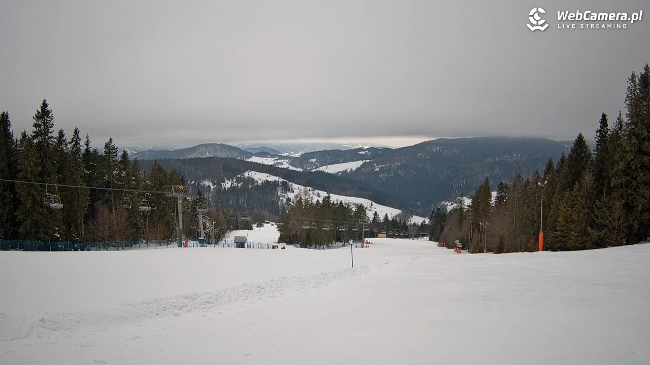 Wierchomla - widok na trasy - 24 styczeń 2026, 08:23