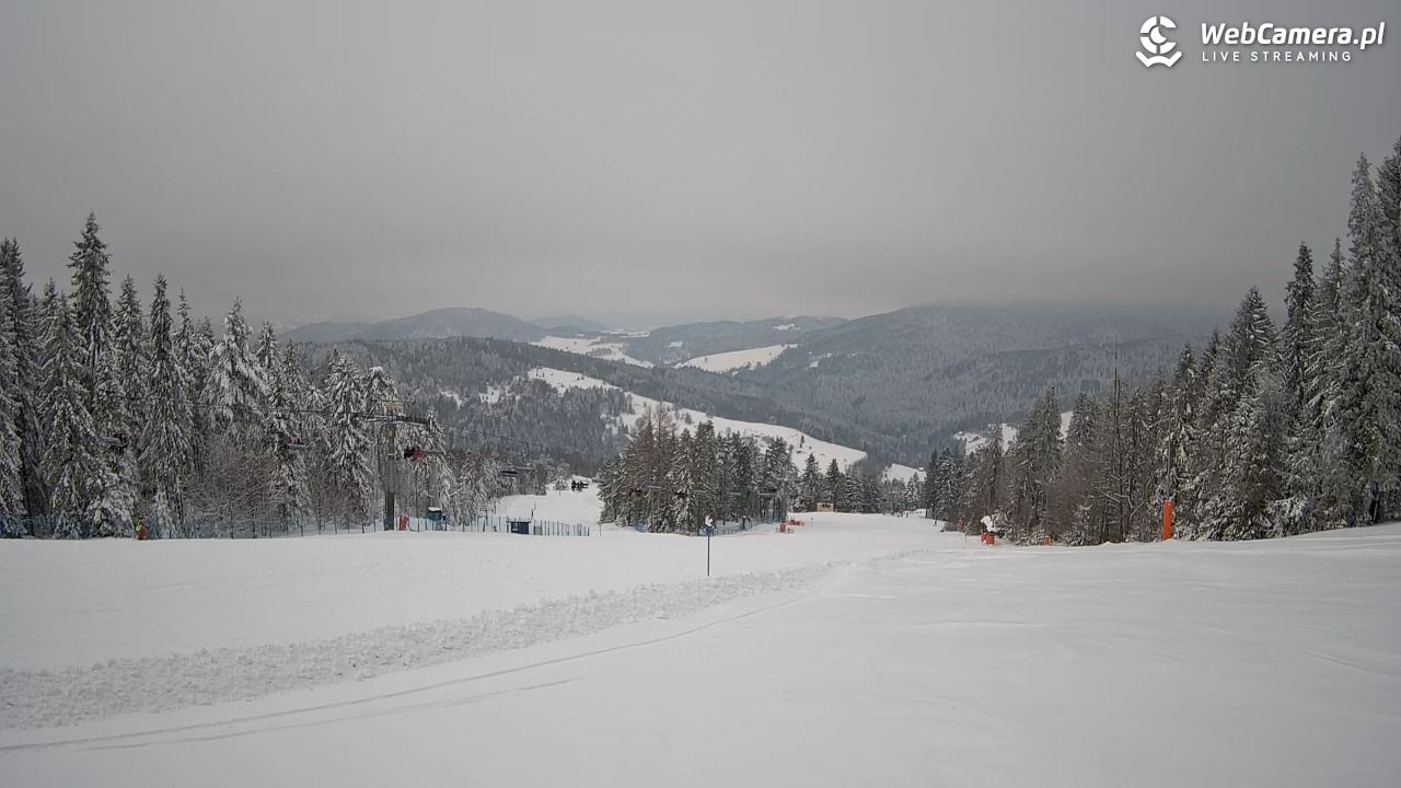 Wierchomla - widok na trasy - 14 styczeń 2026, 12:44