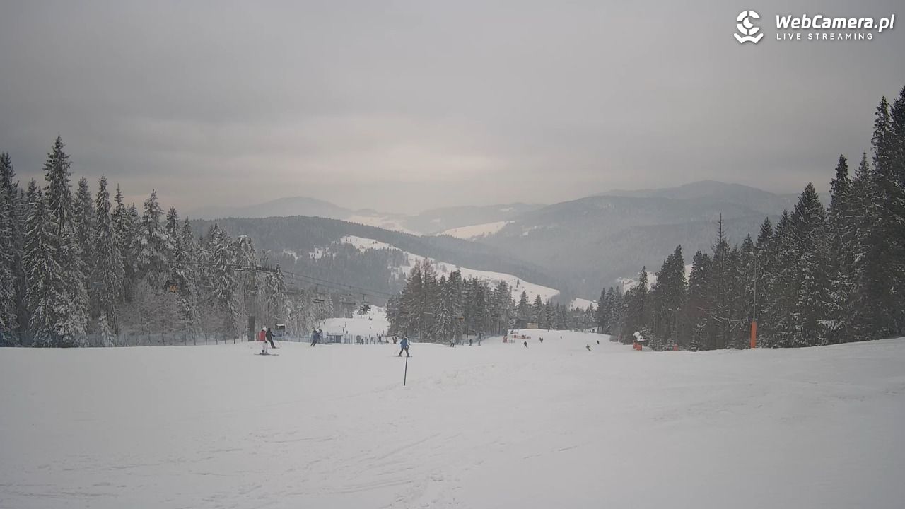 Wierchomla - widok na trasy - 10 styczeń 2026, 11:51