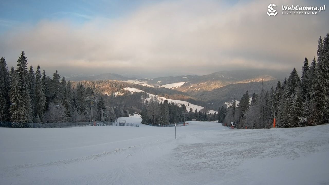 Wierchomla - widok na trasy - 16 luty 2026, 08:13