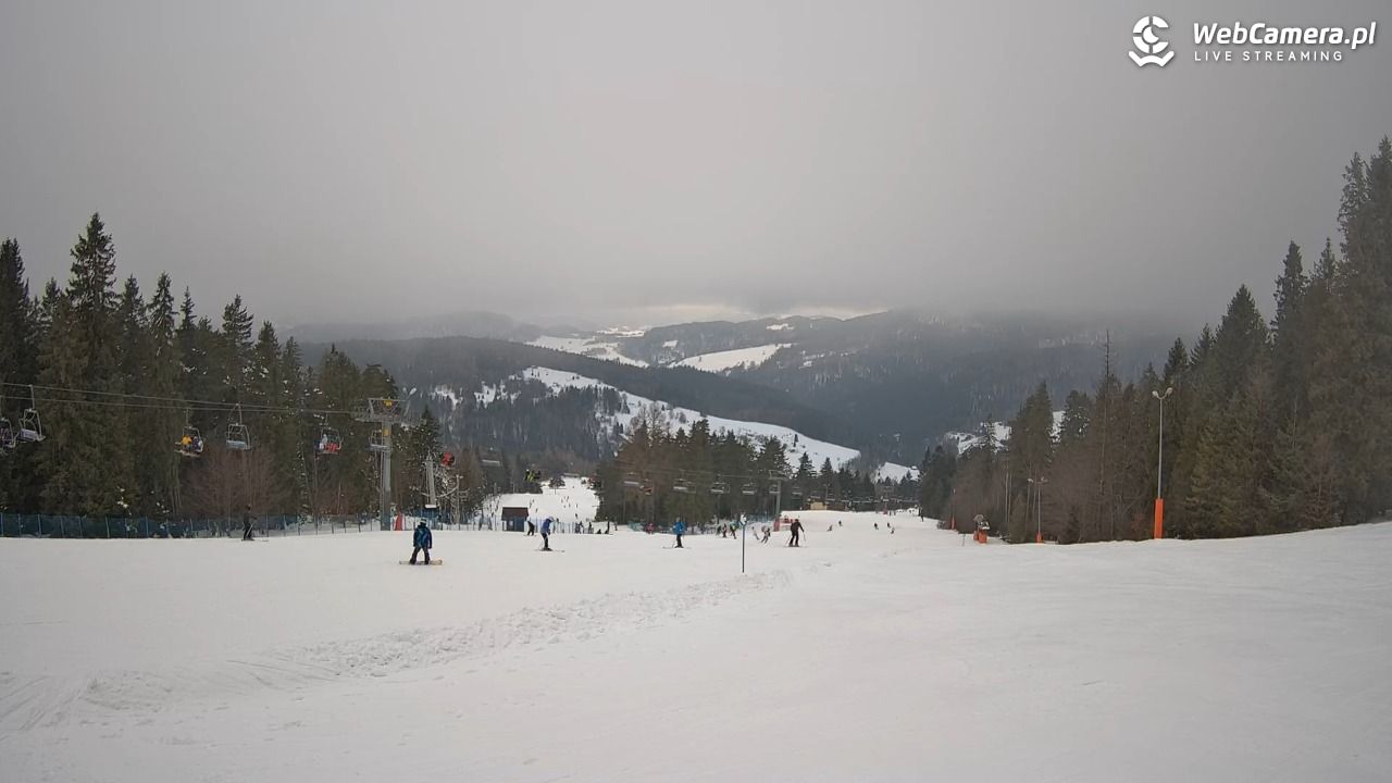 Wierchomla - widok na trasy - 24 styczeń 2026, 12:07