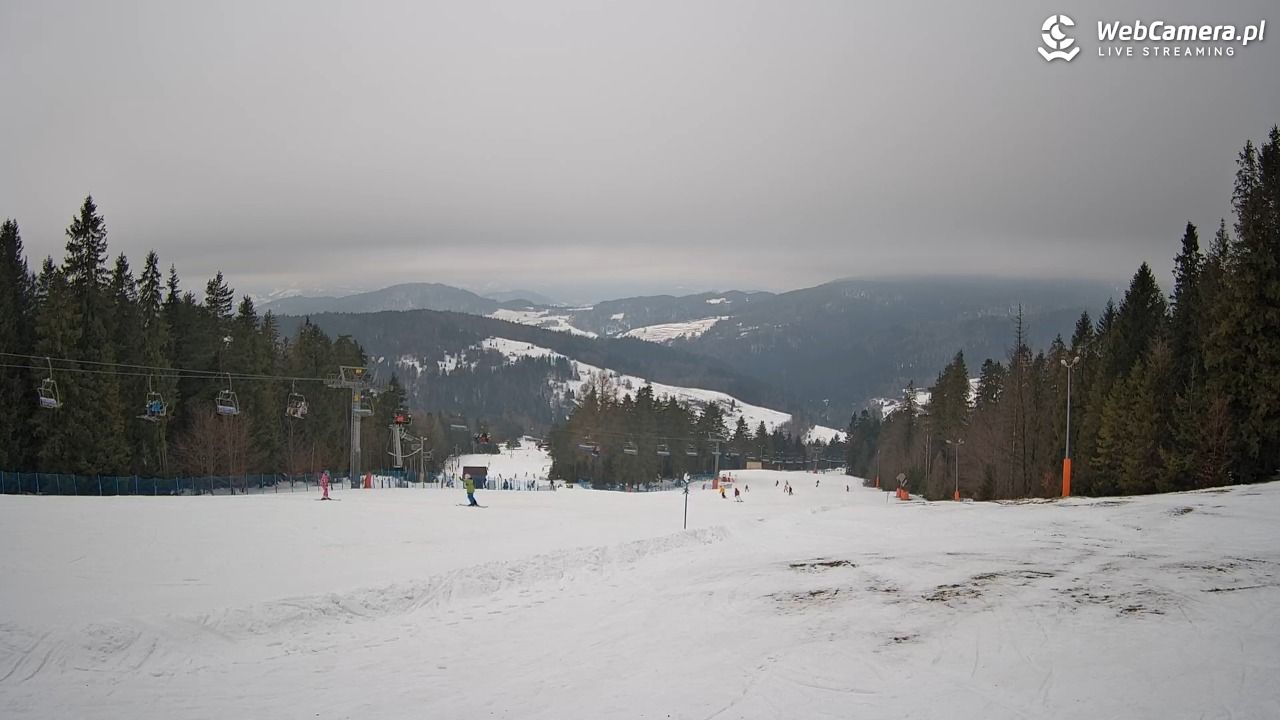 Wierchomla - widok na trasy - 26 styczeń 2026, 13:33