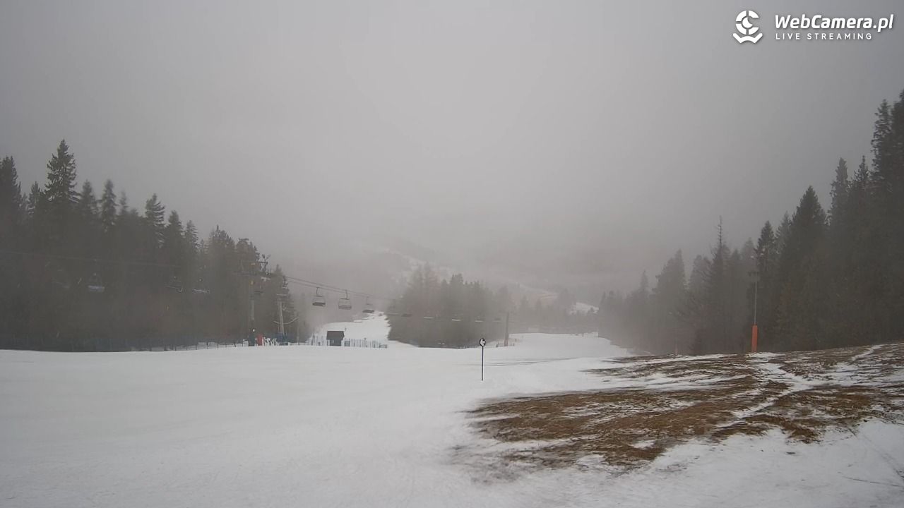 Wierchomla - widok na trasy - 23 luty 2026, 09:26