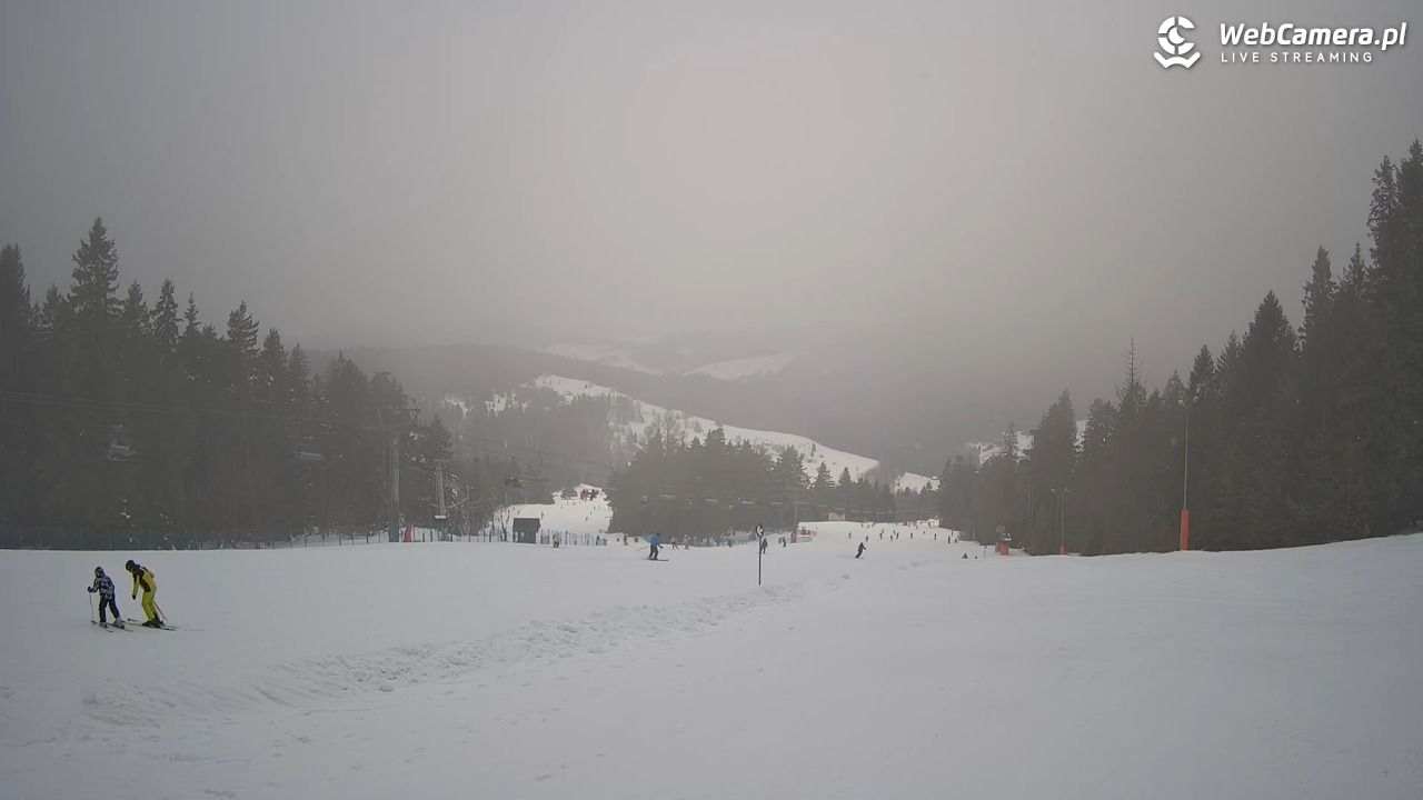 Wierchomla - widok na trasy - 24 styczeń 2026, 11:10