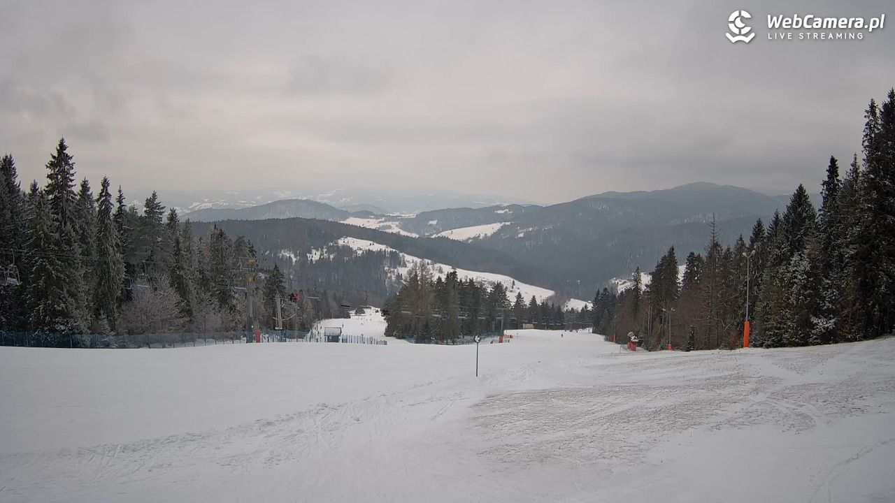 Wierchomla - widok na trasy - 16 luty 2026, 16:43