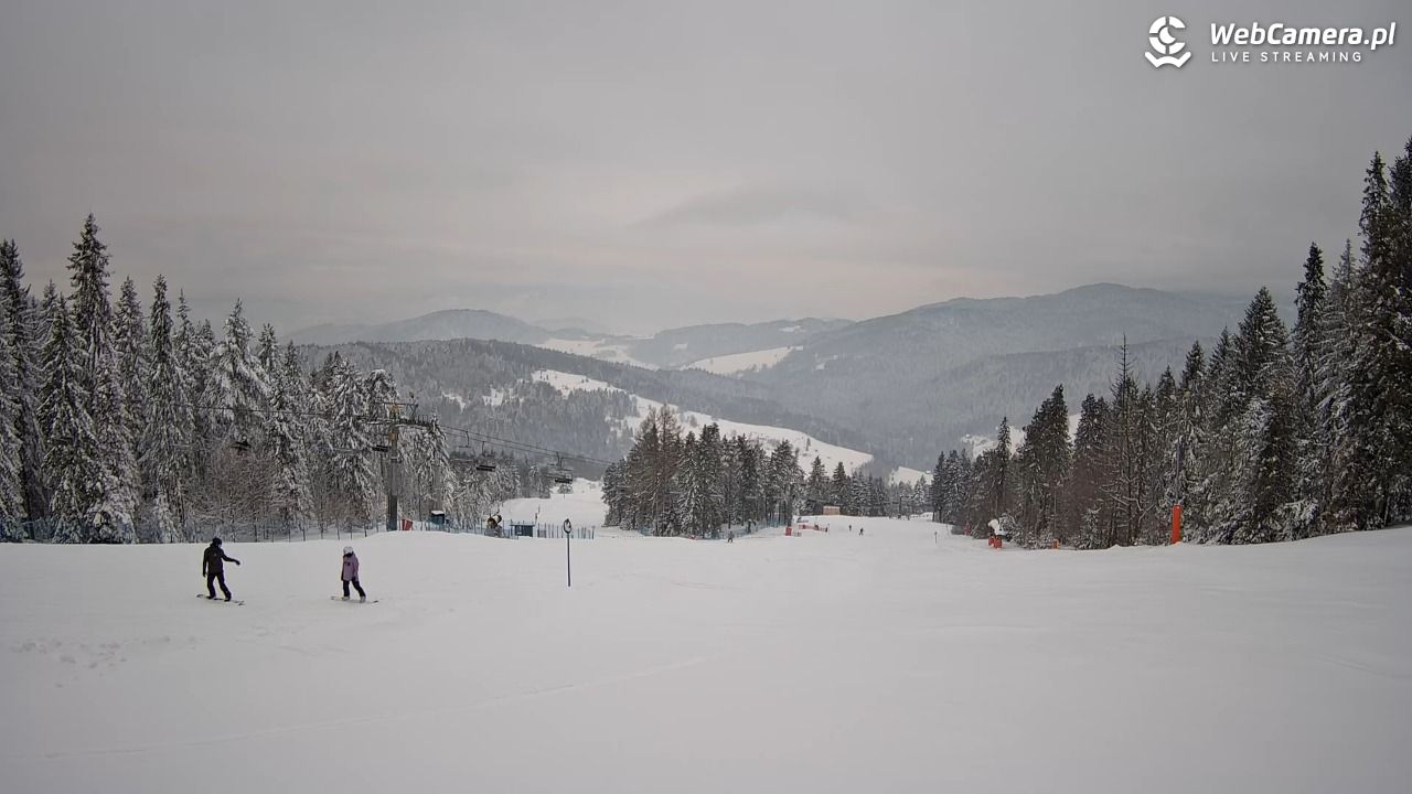Wierchomla - widok na trasy - 13 styczeń 2026, 15:55