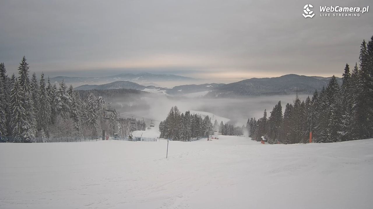 Wierchomla - widok na trasy - 10 styczeń 2026, 08:29