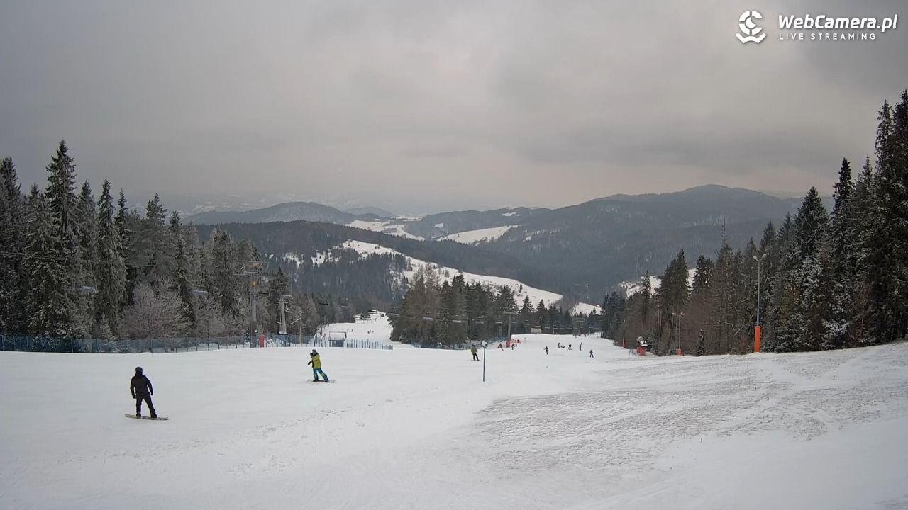 Wierchomla - widok na trasy - 16 luty 2026, 15:50