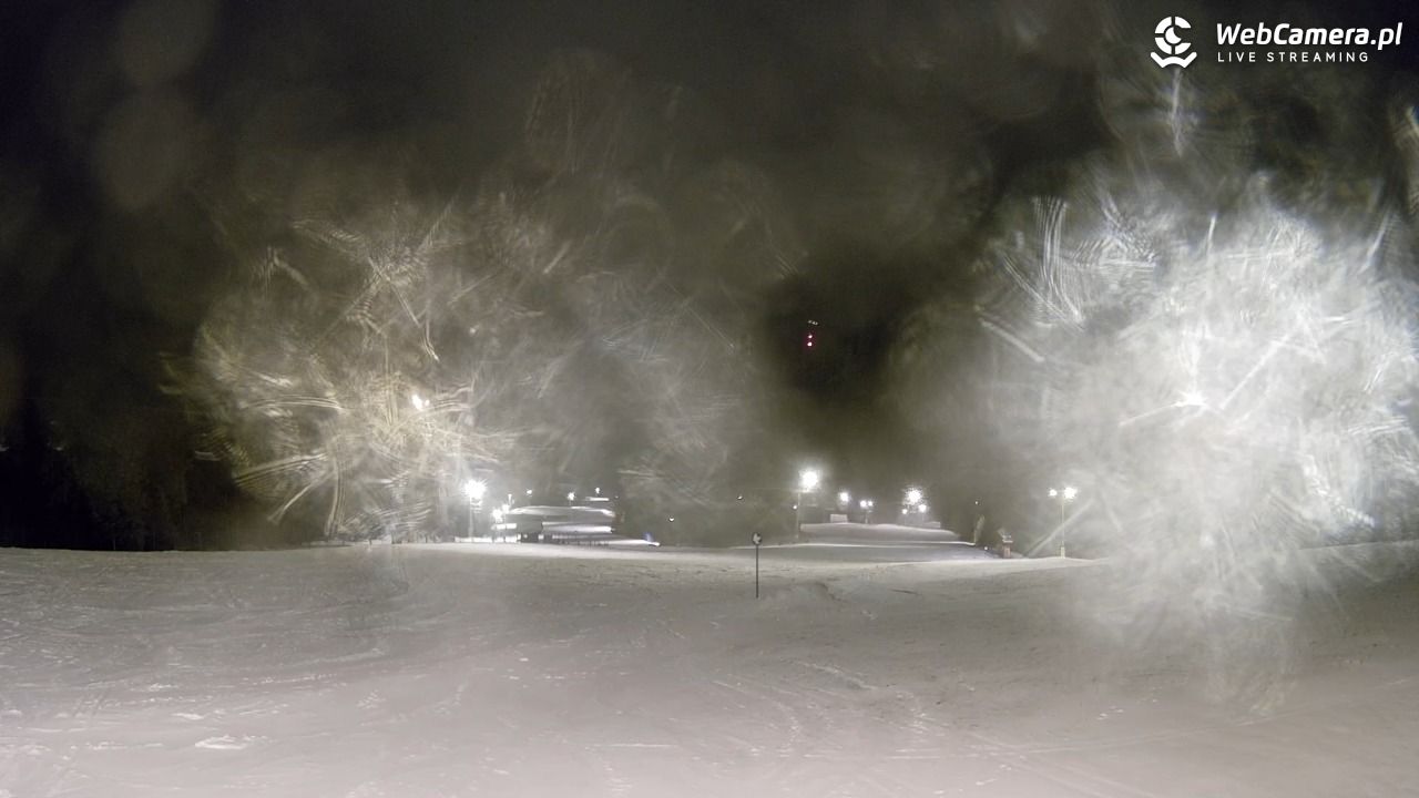 Wierchomla - widok na trasy - 24 luty 2026, 18:24