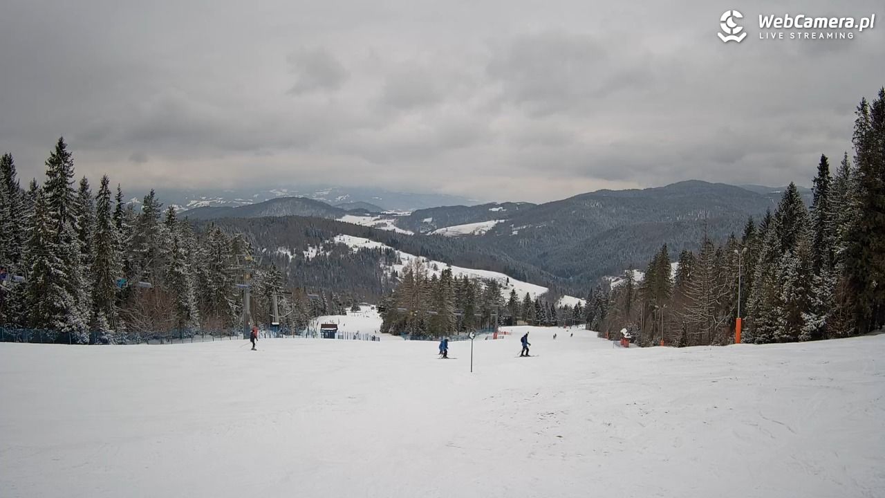 Wierchomla - widok na trasy - 19 luty 2026, 15:08
