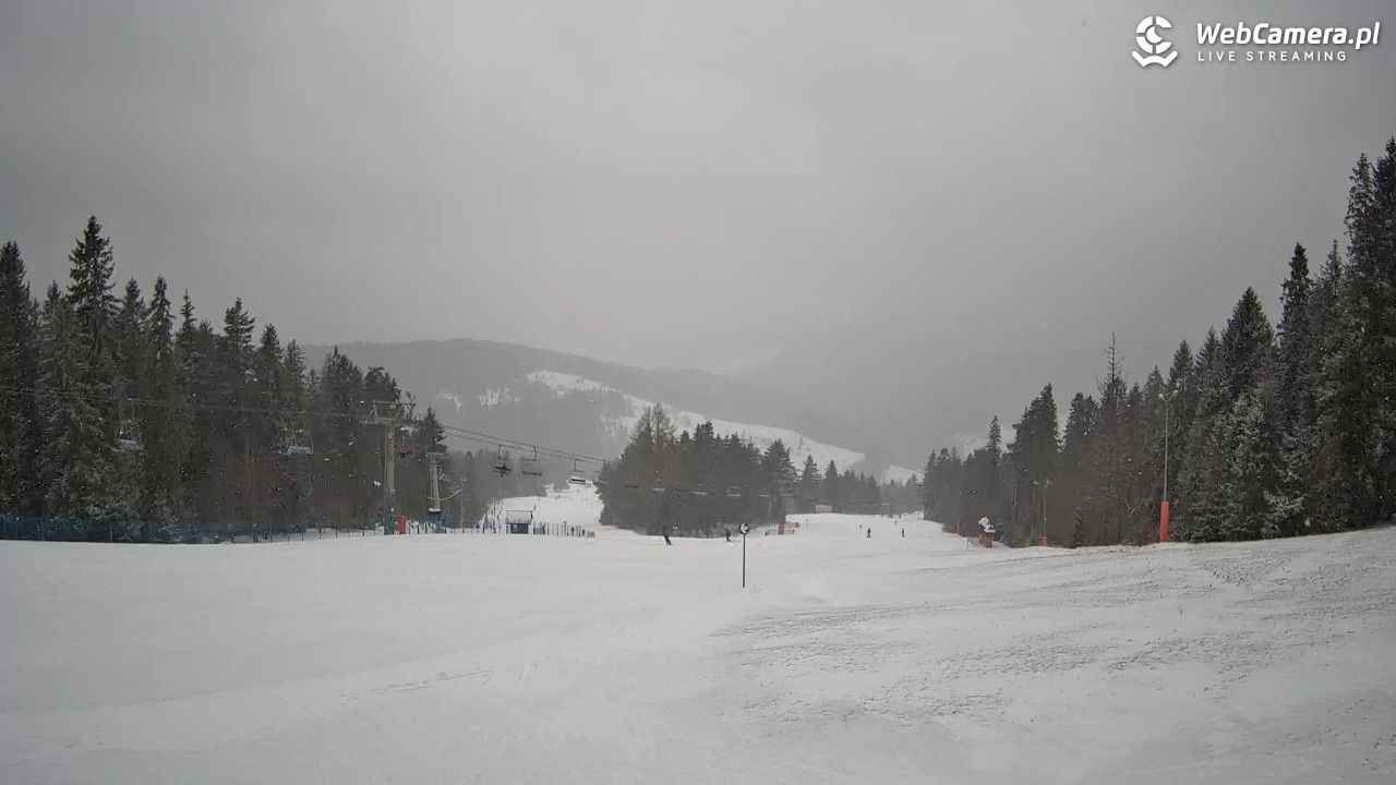 Wierchomla - widok na trasy - 15 luty 2026, 11:44