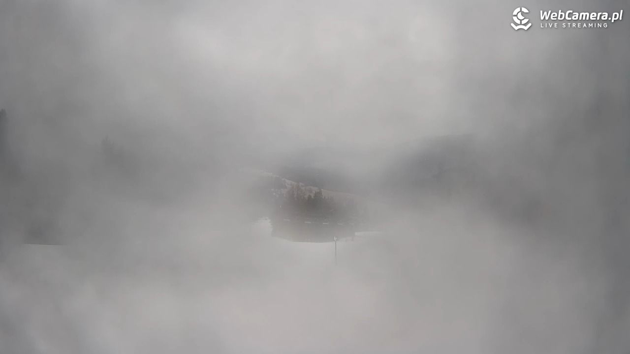Wierchomla - widok na trasy - 24 luty 2026, 06:47