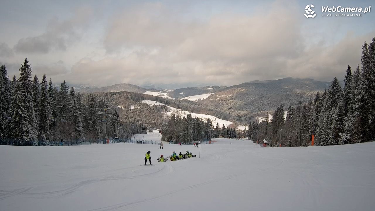 Wierchomla - widok na trasy - 19 luty 2026, 09:42