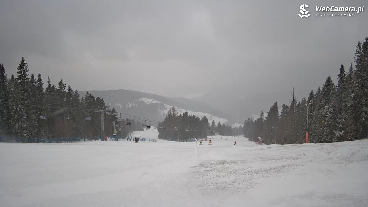 Wierchomla - widok na trasy - 15 luty 2026, 15:32