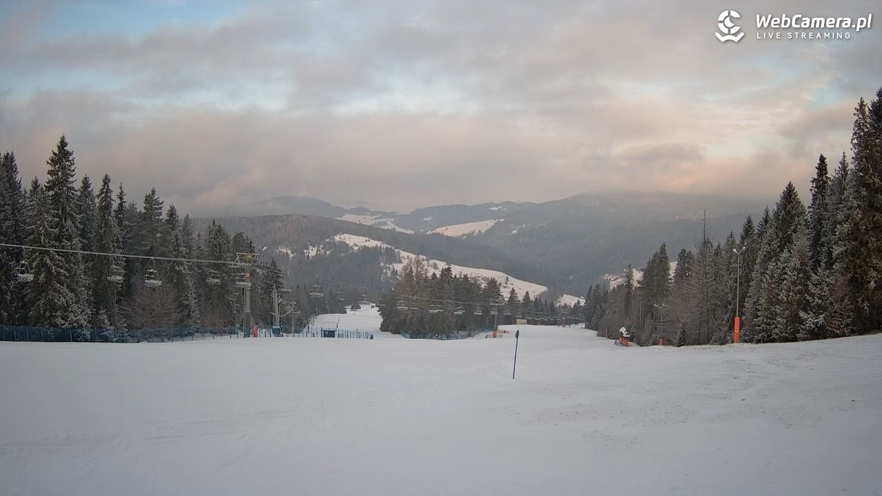 Wierchomla - widok na trasy - 09 luty 2026, 07:49