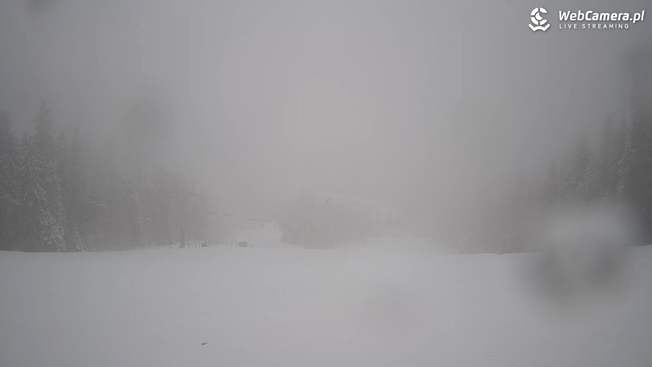 Wierchomla - widok na trasy - 31 marzec 2026, 12:48