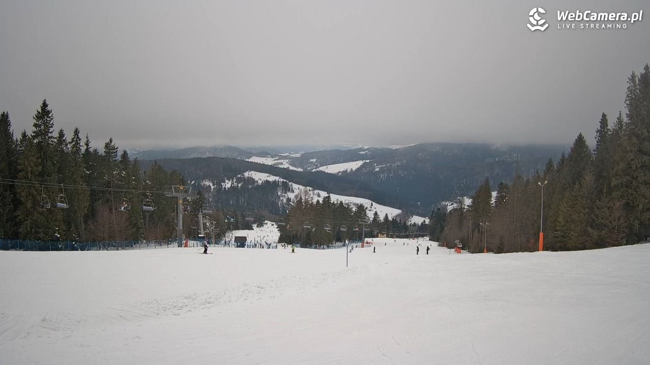 Wierchomla - widok na trasy - 24 styczeń 2026, 12:42