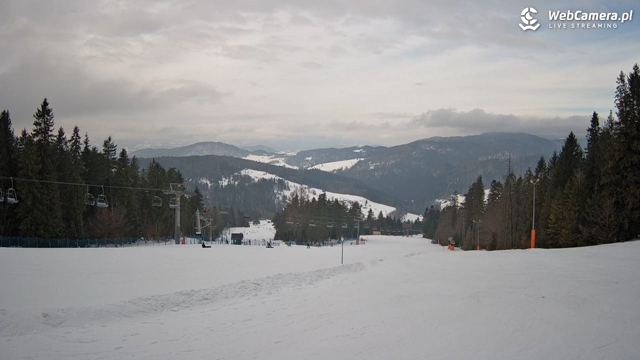 Wierchomla - widok na trasy - 25 styczeń 2026, 11:22