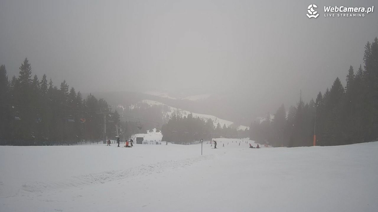 Wierchomla - widok na trasy - 24 styczeń 2026, 11:00