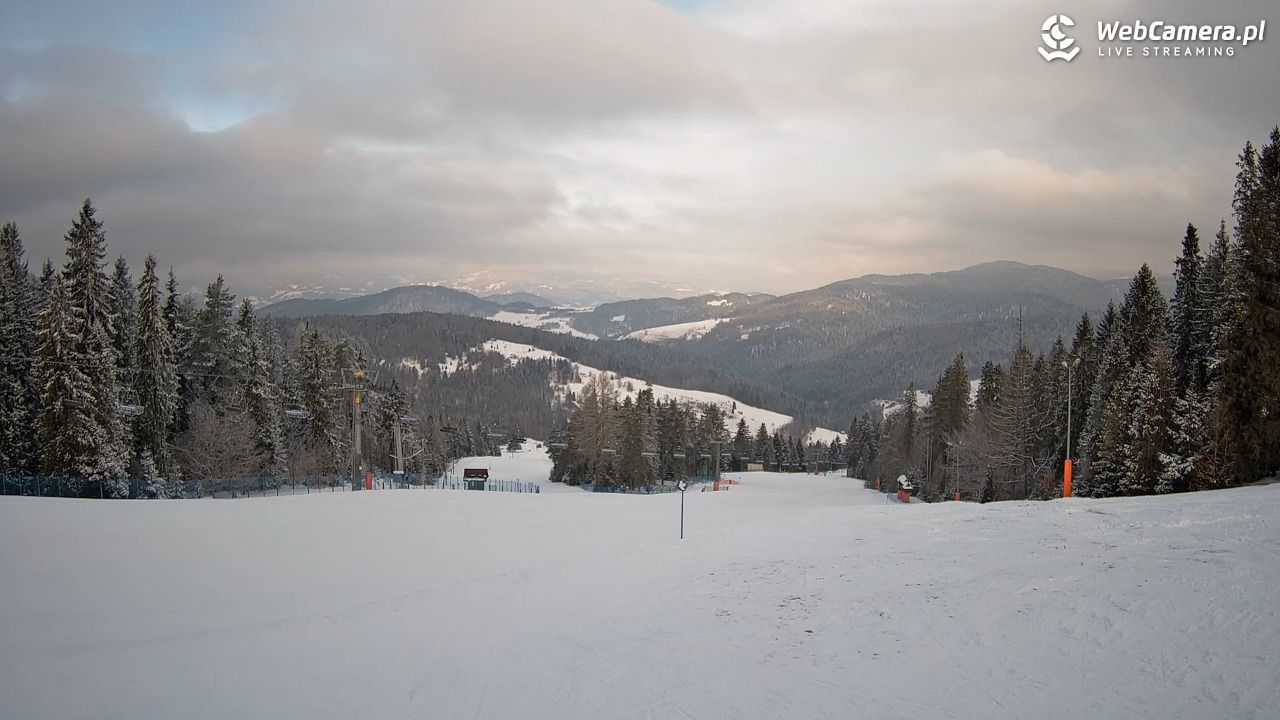 Wierchomla - widok na trasy - 20 luty 2026, 08:00
