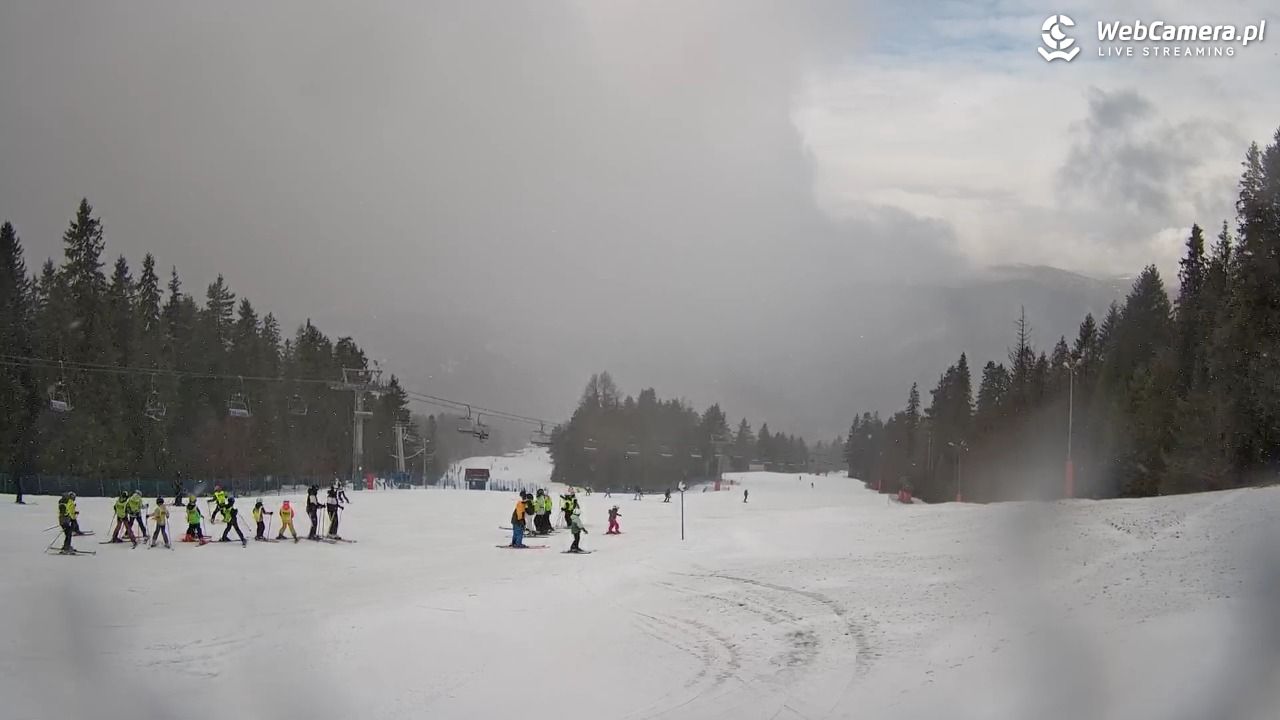 Wierchomla - widok na trasy - 24 luty 2026, 12:50