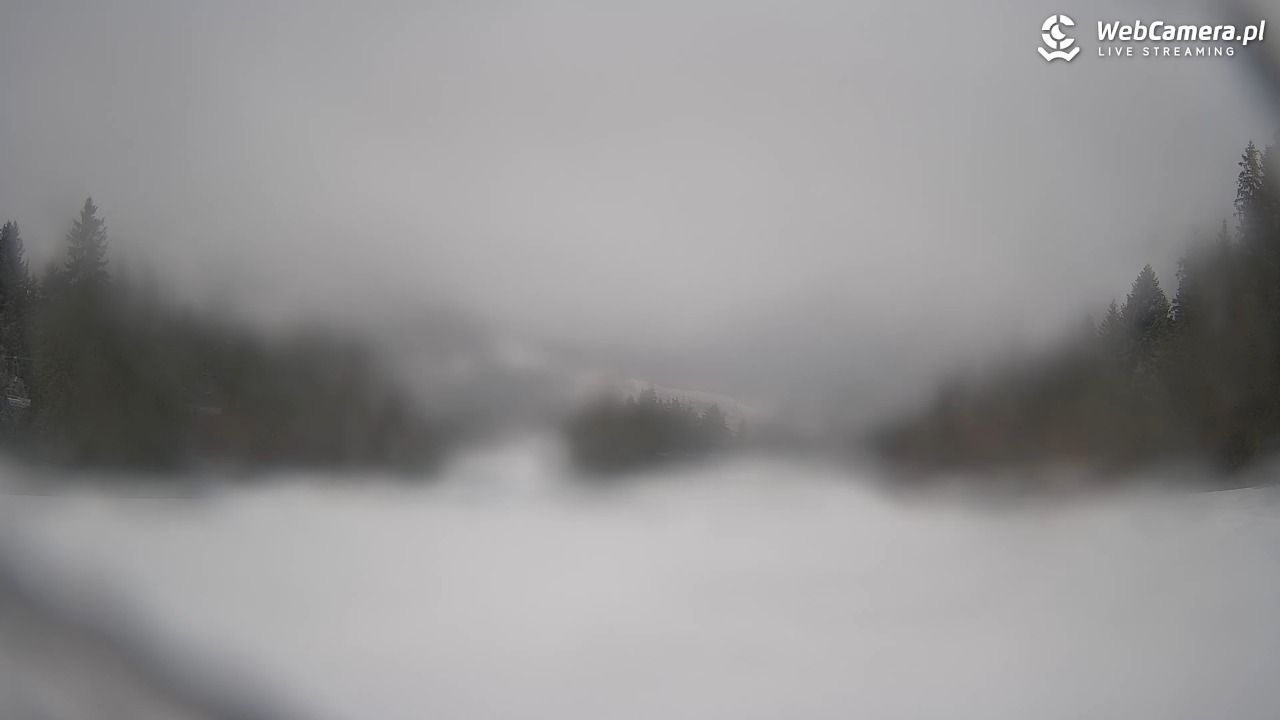 Wierchomla - widok na trasy - 25 luty 2026, 08:51