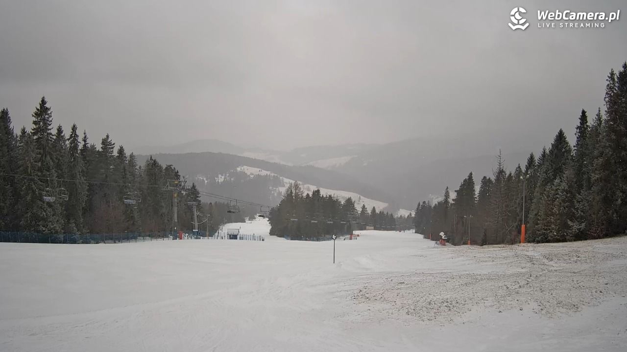 Wierchomla - widok na trasy - 15 luty 2026, 08:10