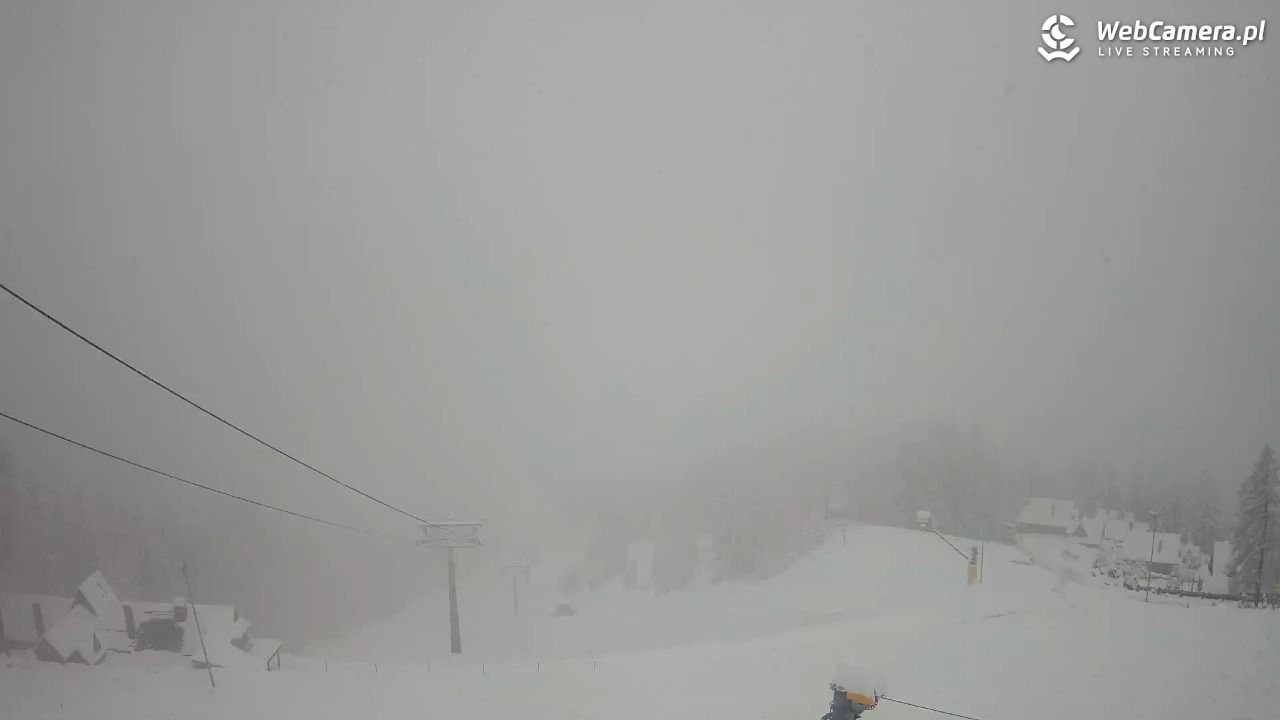 Polana Szymoszkowa - 31 marzec 2026, 12:18