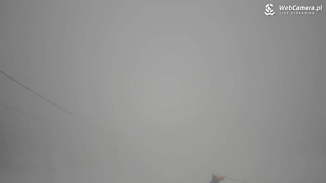 Polana Szymoszkowa - 28 marzec 2026, 11:30