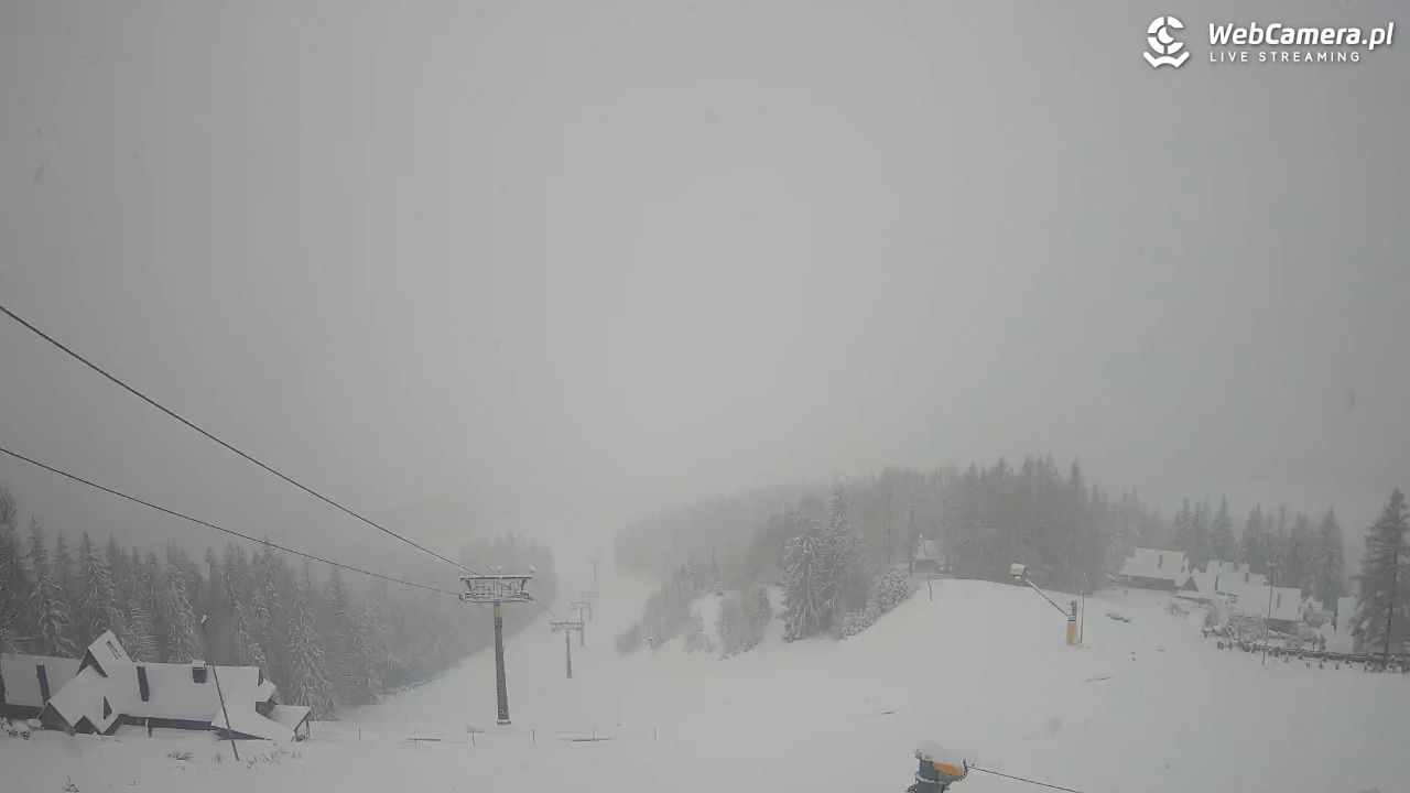 Polana Szymoszkowa - 27 marzec 2026, 09:46