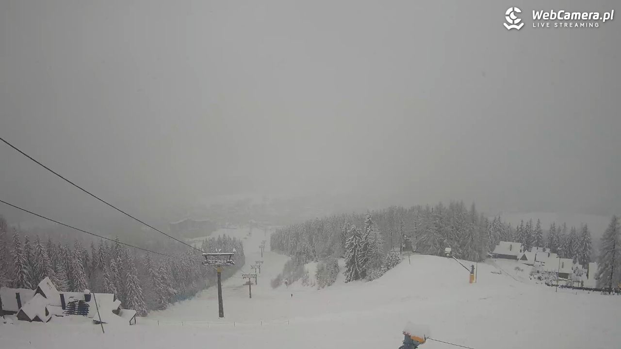 Polana Szymoszkowa - 31 marzec 2026, 13:43