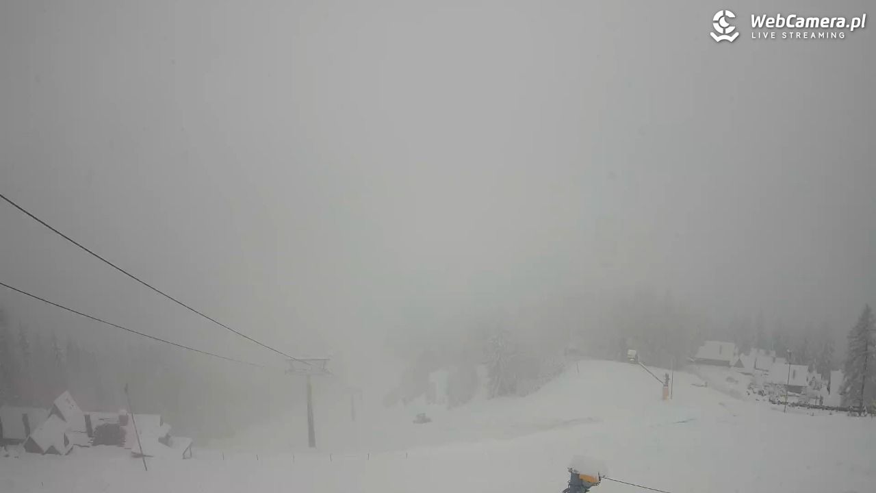 Polana Szymoszkowa - 31 marzec 2026, 12:18