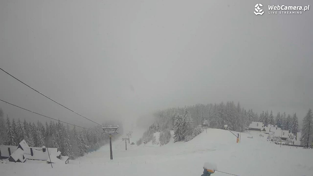 Polana Szymoszkowa - 31 marzec 2026, 10:27