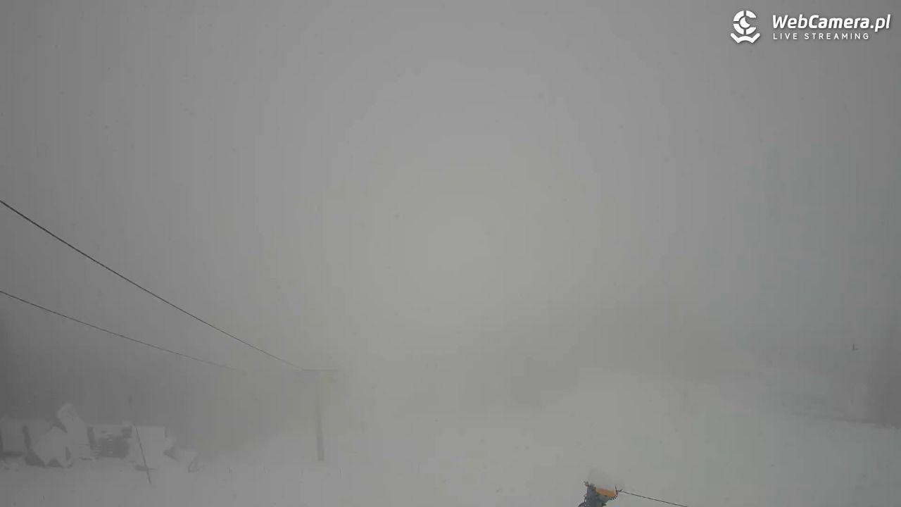 Polana Szymoszkowa - 31 marzec 2026, 14:10