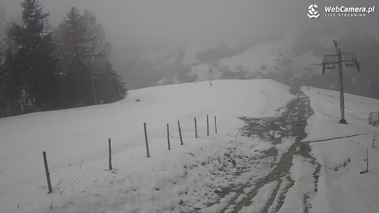 Stacja Narciarska Wierchomla - 28 marzec 2026, 11:48