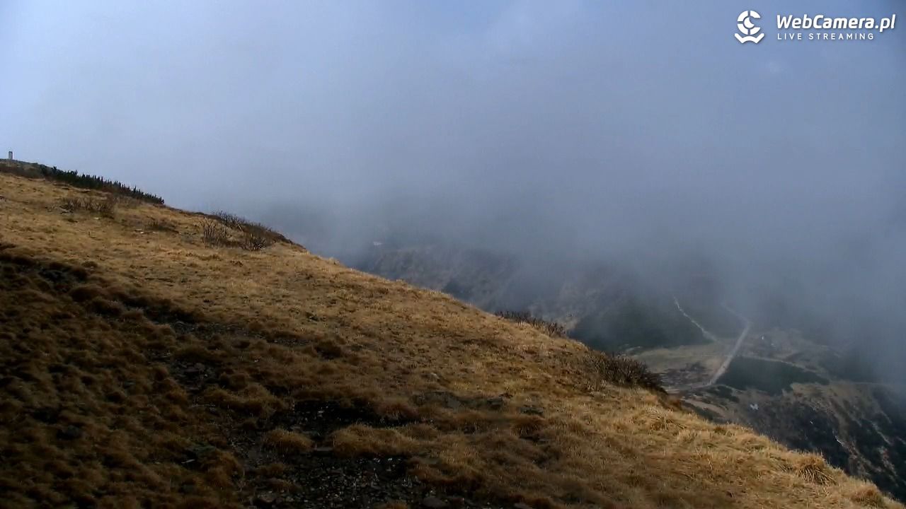 ŚNIEŻKA - widok z 1603 m n.p.m. - 11 maj 2026, 13:37