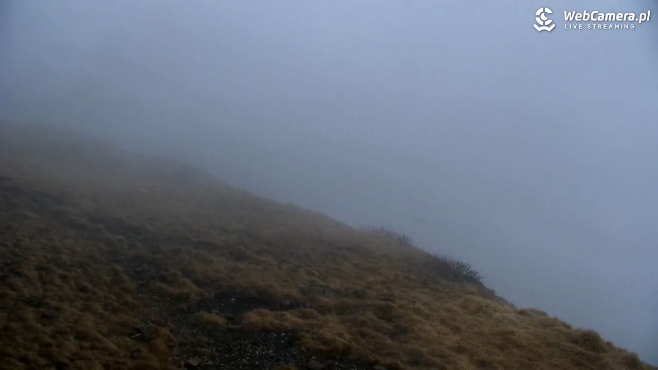 ŚNIEŻKA - widok z 1603 m n.p.m. - 11 maj 2026, 13:21