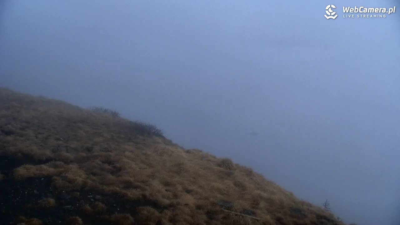 ŚNIEŻKA - widok z 1603 m n.p.m. - 11 maj 2026, 06:57