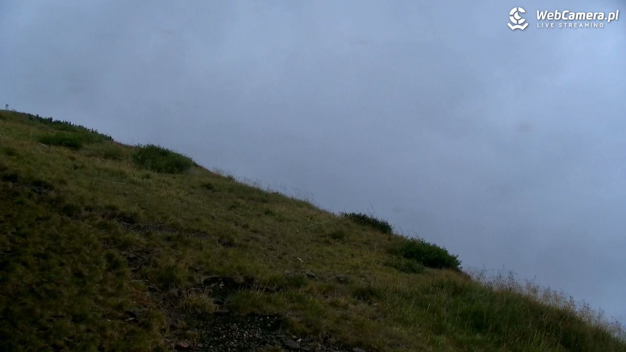 ŚNIEŻKA - widok z 1603 m n.p.m. - 08 wresień 2025, 14:52