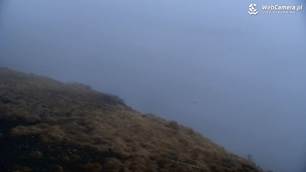 ŚNIEŻKA - widok z 1603 m n.p.m. - 11 maj 2026, 07:16