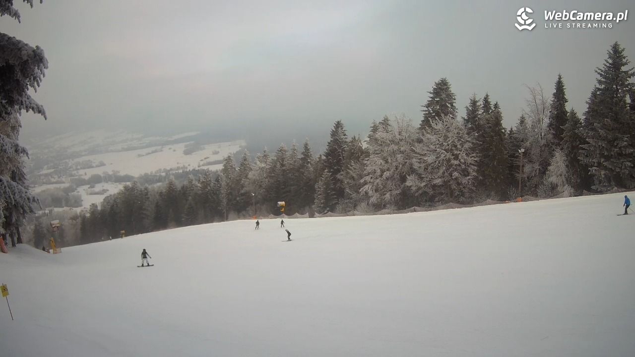 Kasina SKI - widok na trasy NOWOŚĆ - 01 luty 2026, 10:23