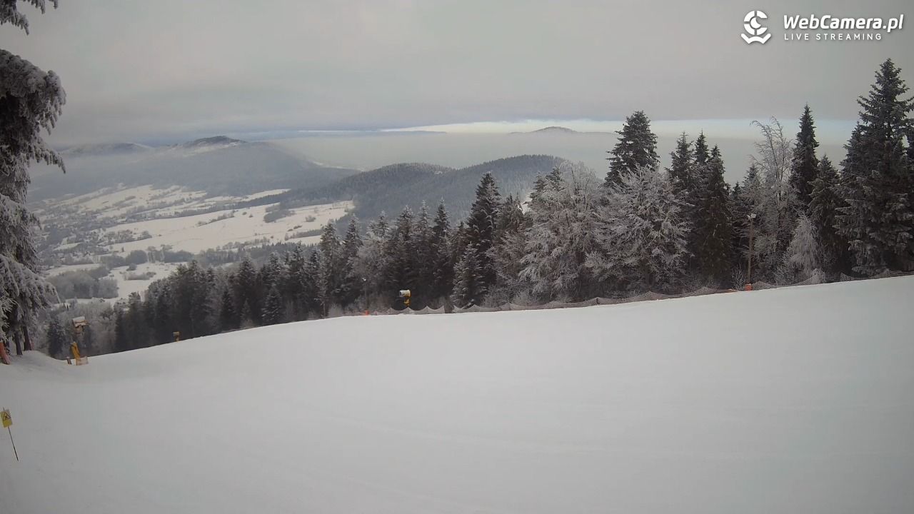 Kasina SKI - widok na trasy NOWOŚĆ - 02 luty 2026, 08:46