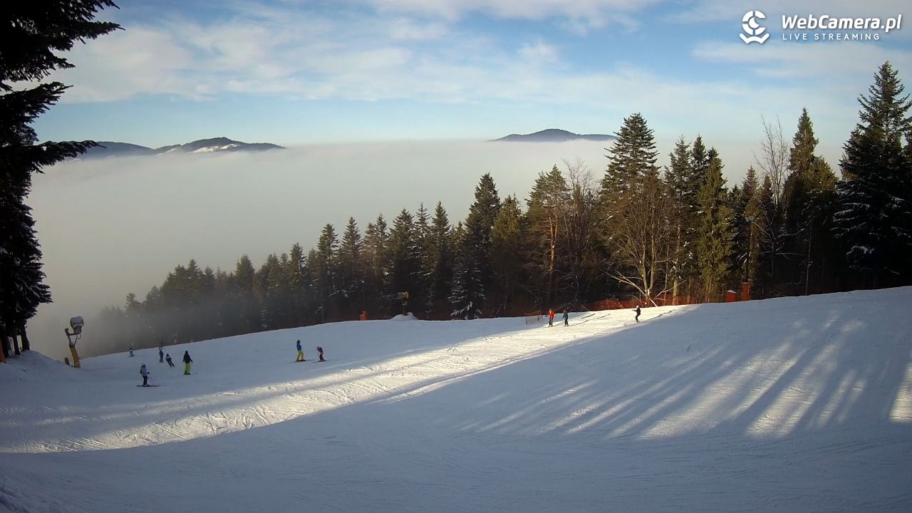 Kasina SKI - widok na trasy NOWOŚĆ - 30 listopad 2025, 13:21